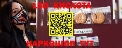 крисы Краснодар