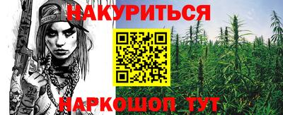крисы Краснодар
