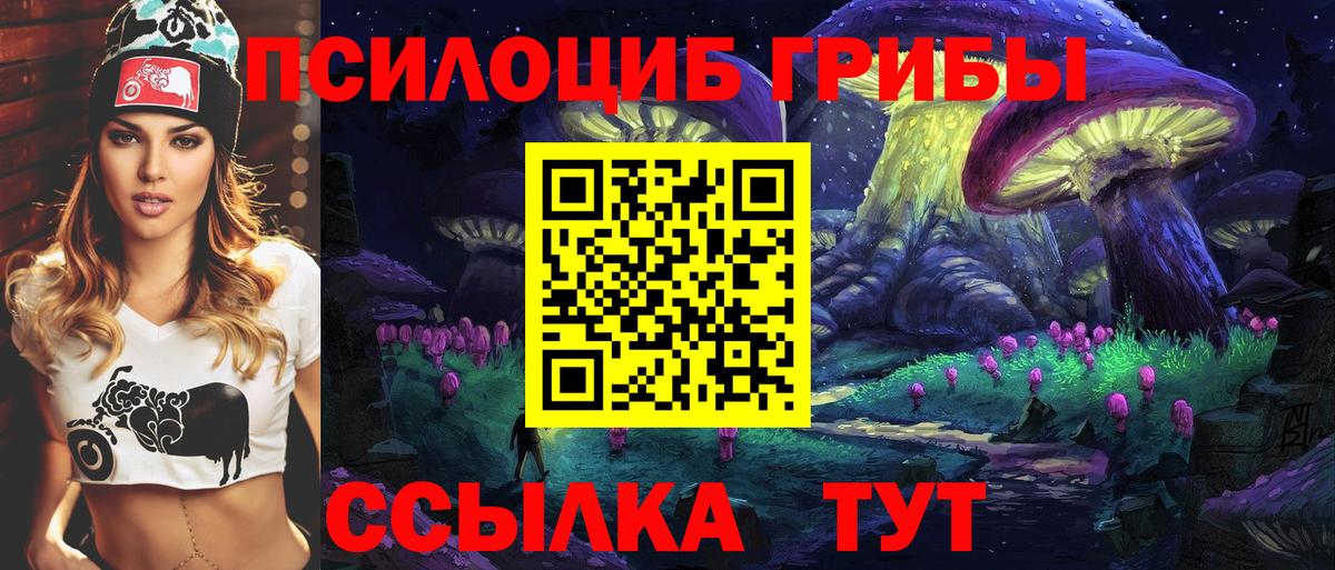 Галлюциногенные грибы Psilocybine cubensis  Вход с VPN  Кизляр 
